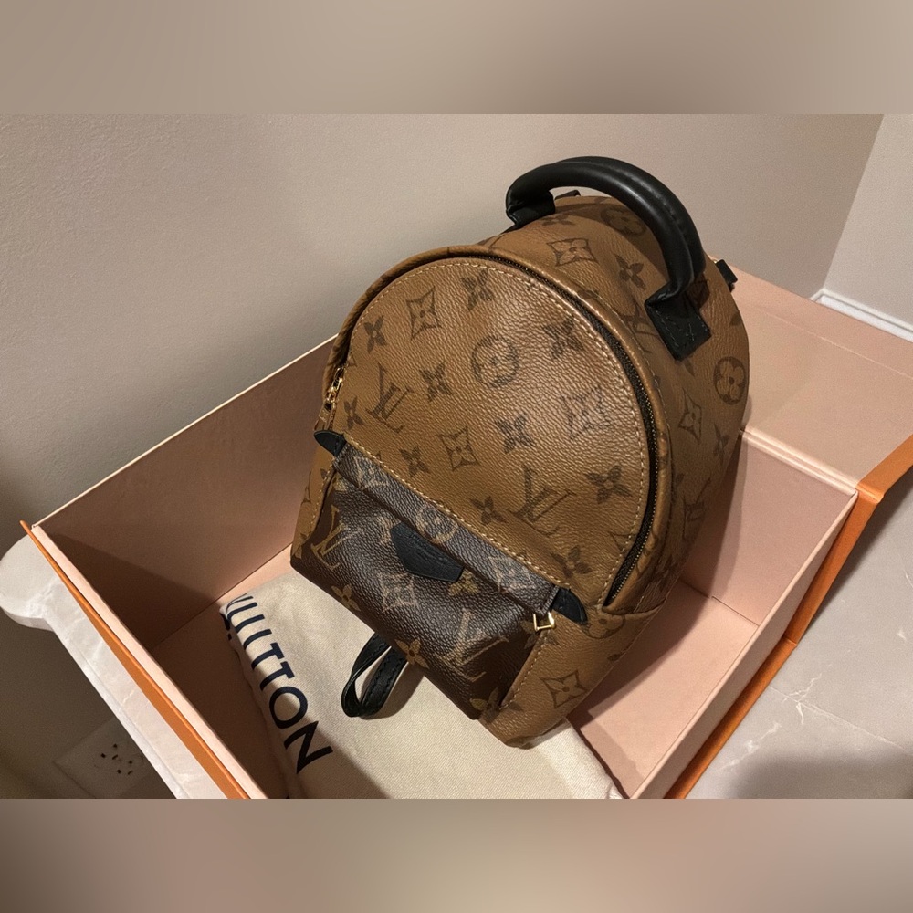 LOUIS VUITTON REVERSE MONOG PALM SPRINGS MINI - Picture 4 of 10